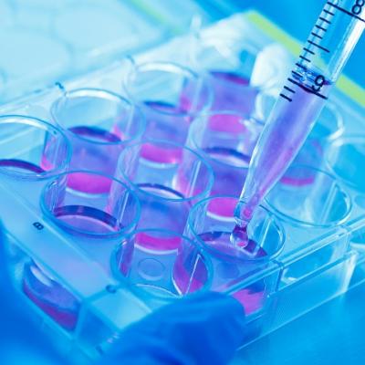 Σημαντικές διακρίσεις της Μαρίας Καλούδη