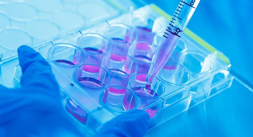 Σημαντικές διακρίσεις της Μαρίας Καλούδη Σημαντικές διακρίσεις της Μαρίας Καλούδη